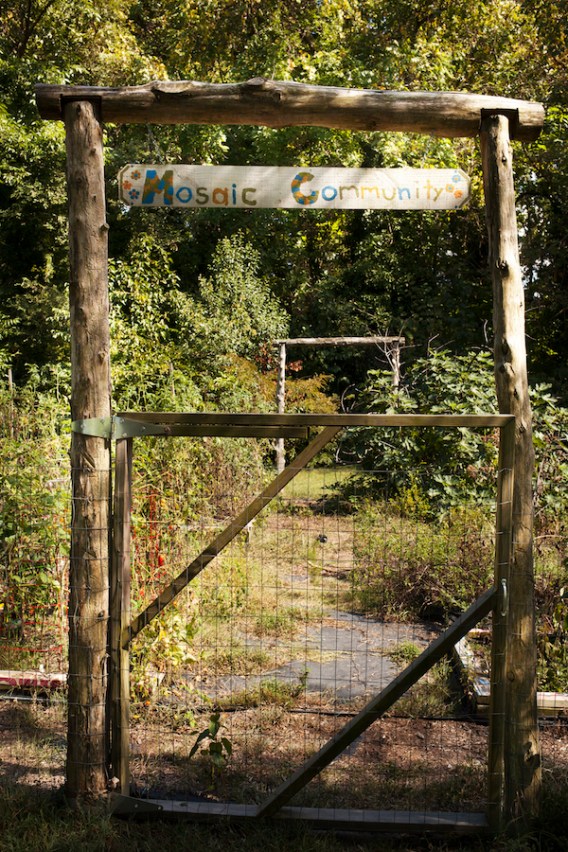 mosaicgarden copy-cds